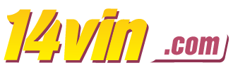 Brazino 900 - Iiwin
